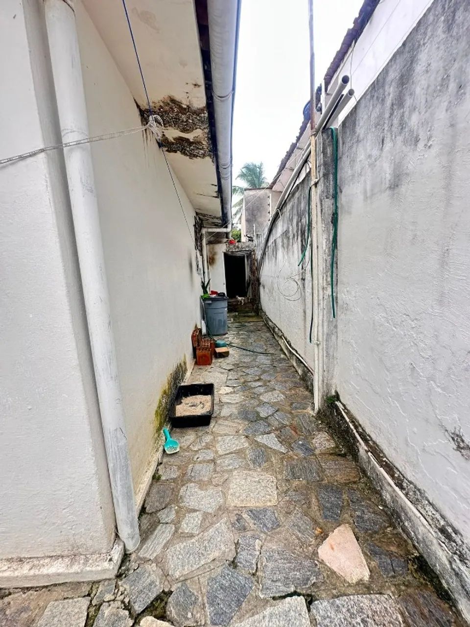 Casa no João Agripino com 3 quartos sendo 1 suite - Foto 3