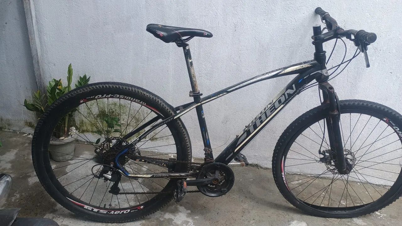 Bicicleta 