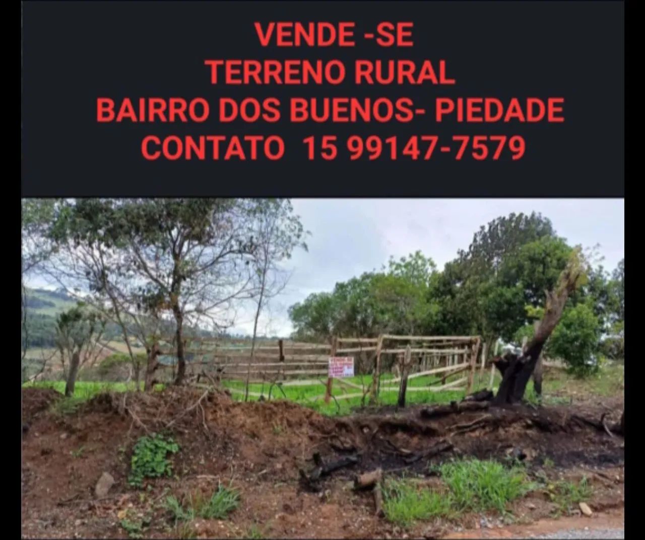 Foto - Piedade - Buenos