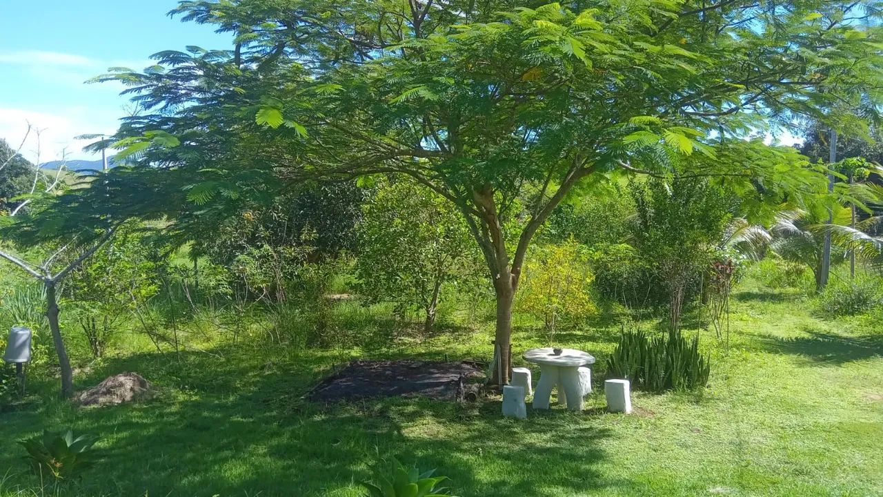 Chacara 5 min de Bom Jesus  - Foto 3