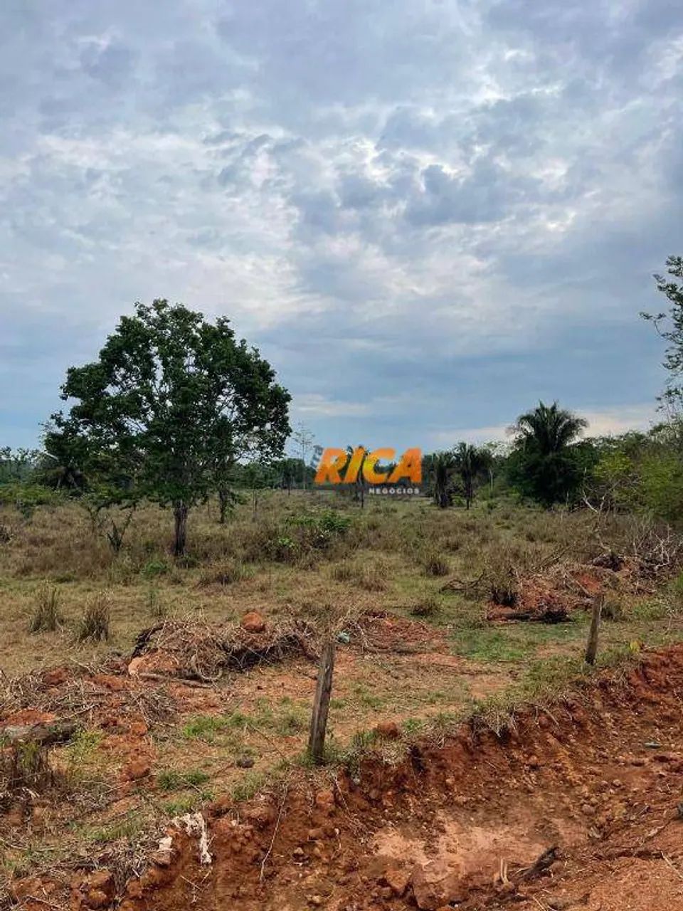 Vende-se Excelente Sítio em Urupá-RO! - Foto 3