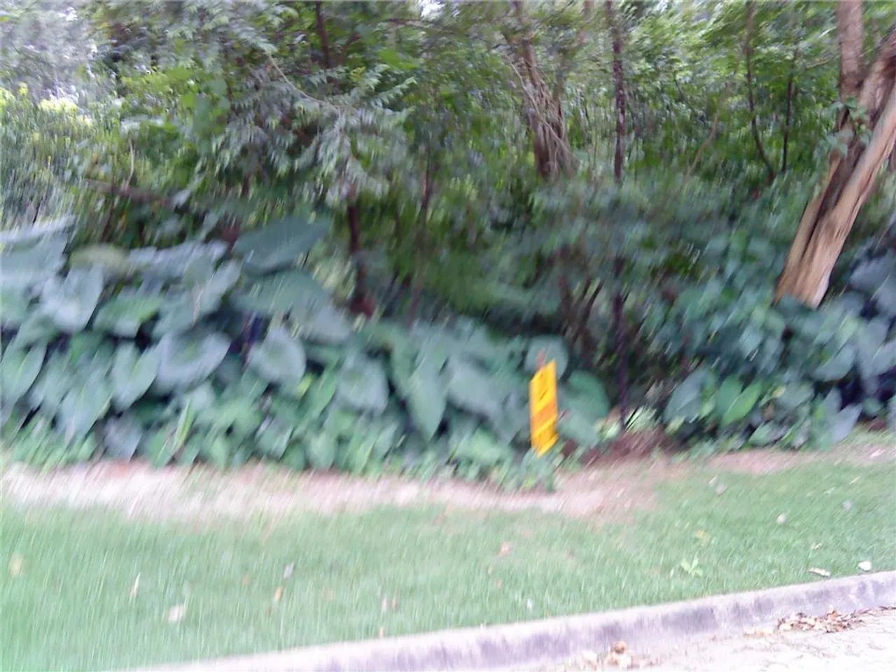 Granja Viana, Vila dos Pinus, Cotia - Foto 3