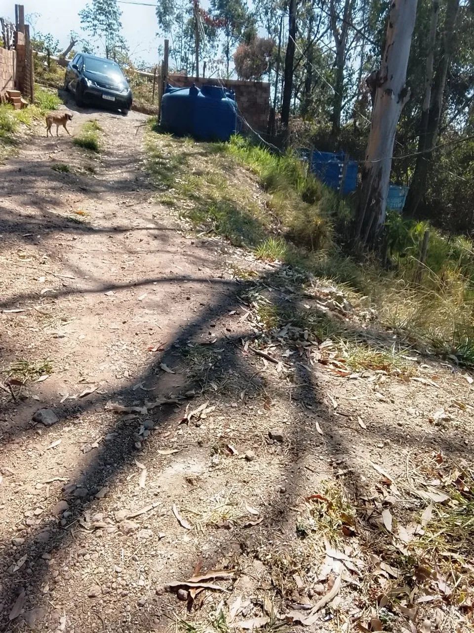 Vendo ou troco  lote ibirite  - Foto 2