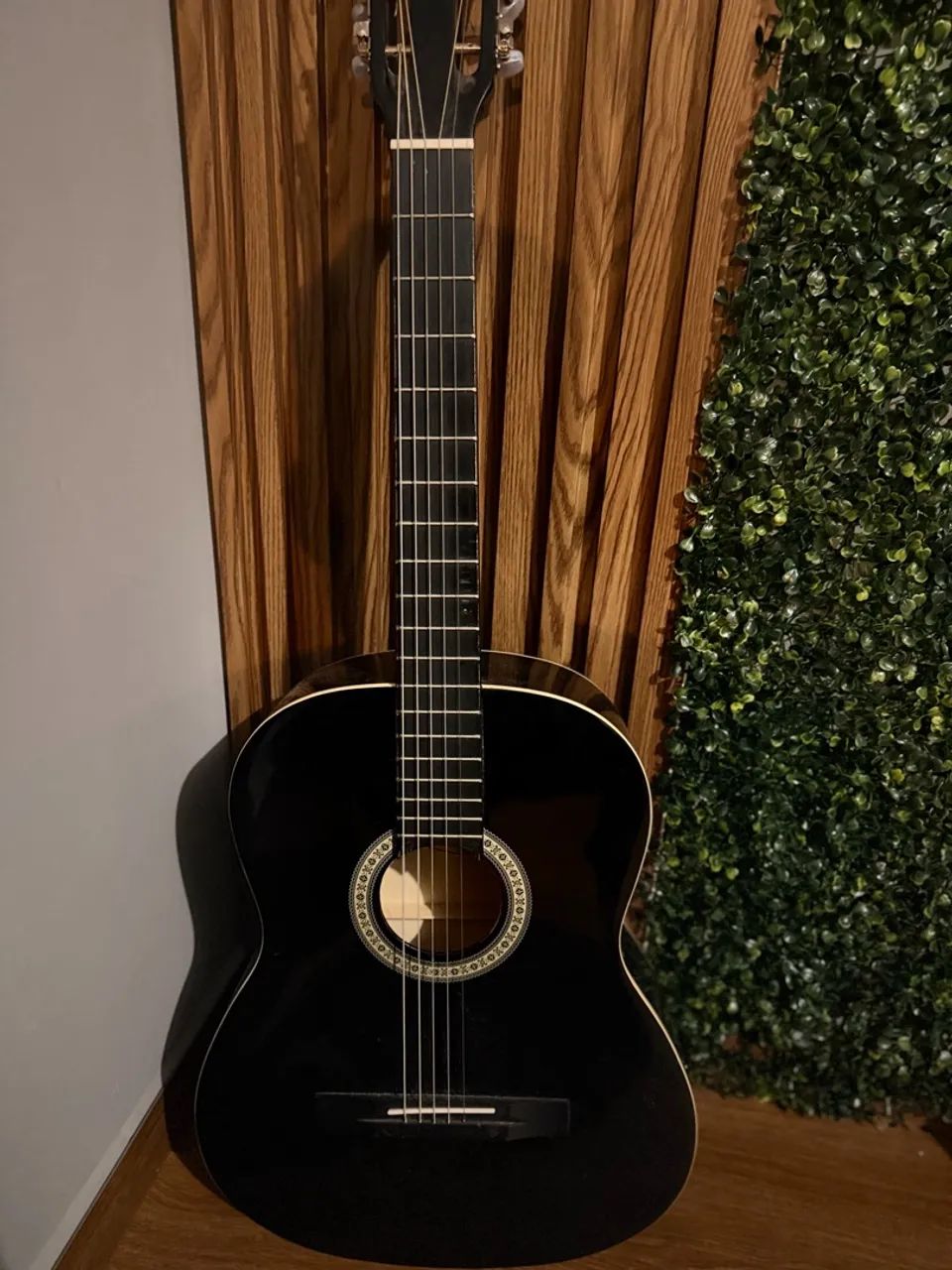 Violão giannini 