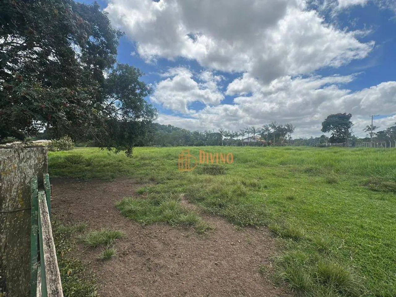 Sítio Produtivo com Nascente e Margem de Rio  Sarapuí/SP - Foto 5