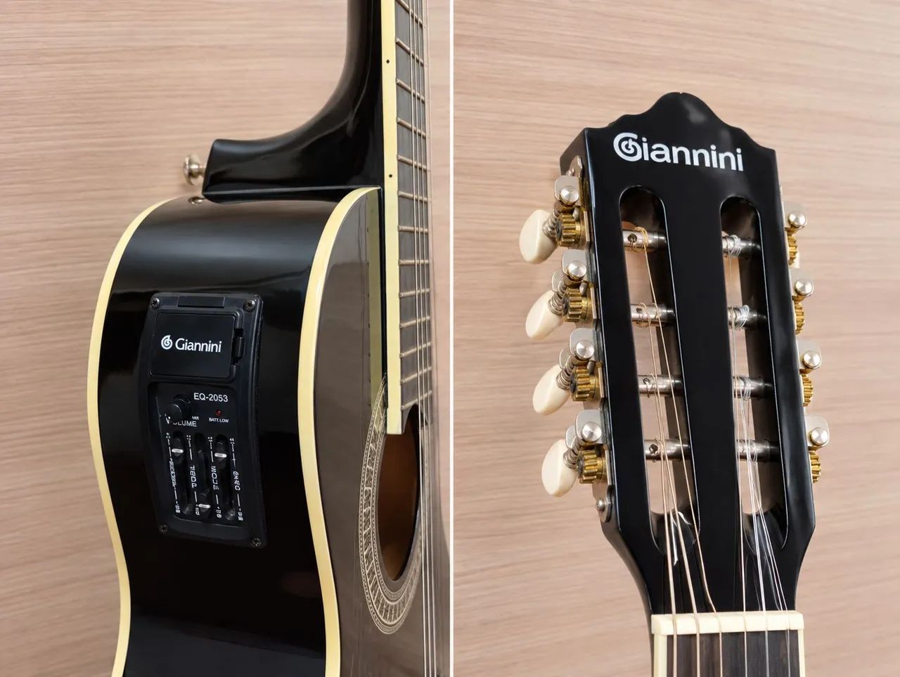 Viola amplificada 10 cordas 