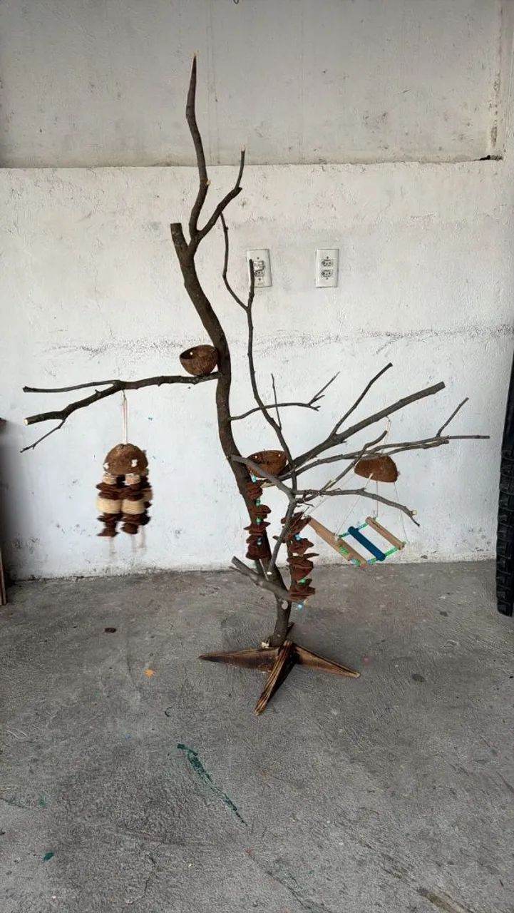 Galhos para pássaros  - Foto 5