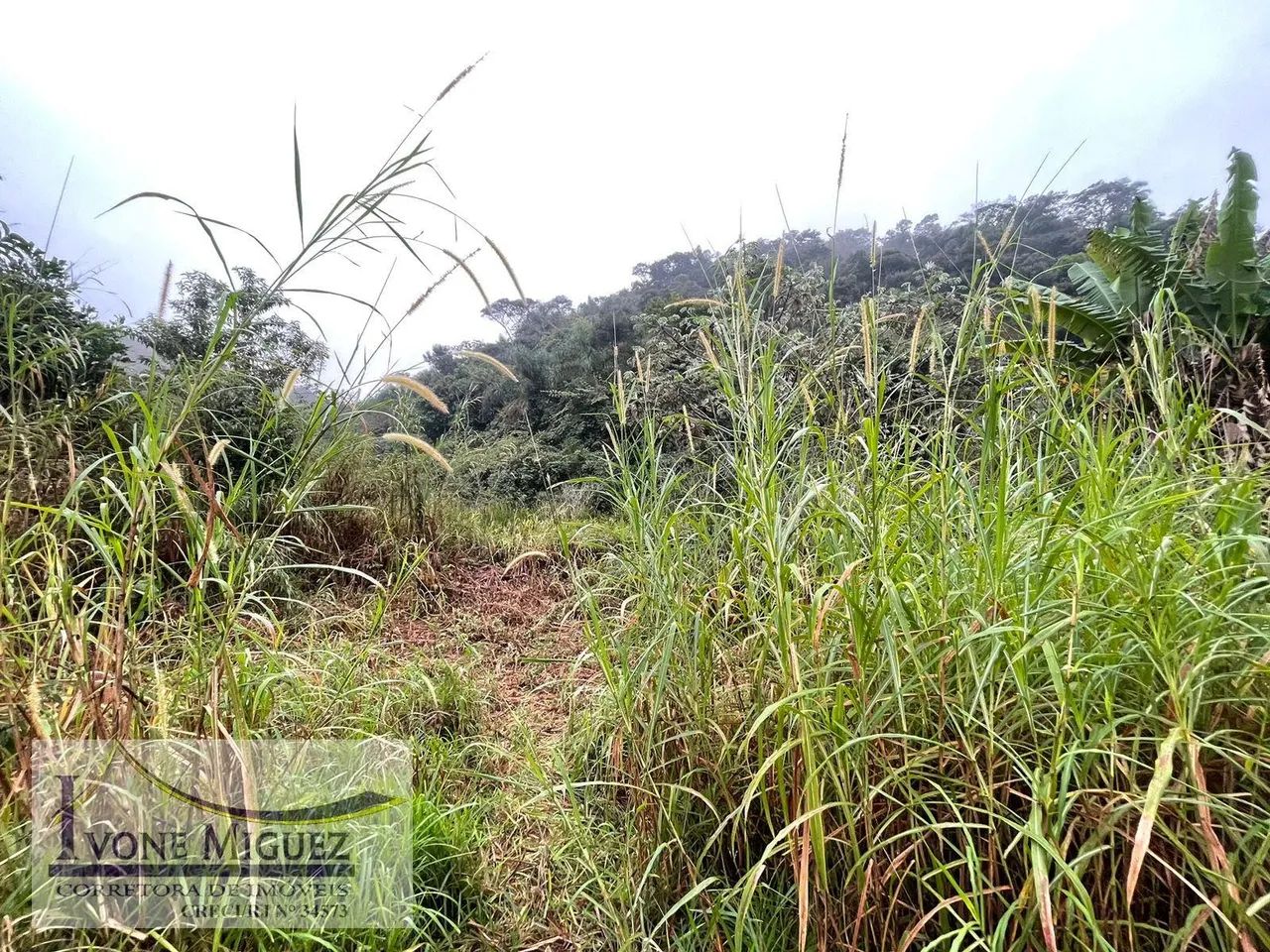 Terreno em Cinco Lagos - Mendes - Foto 4