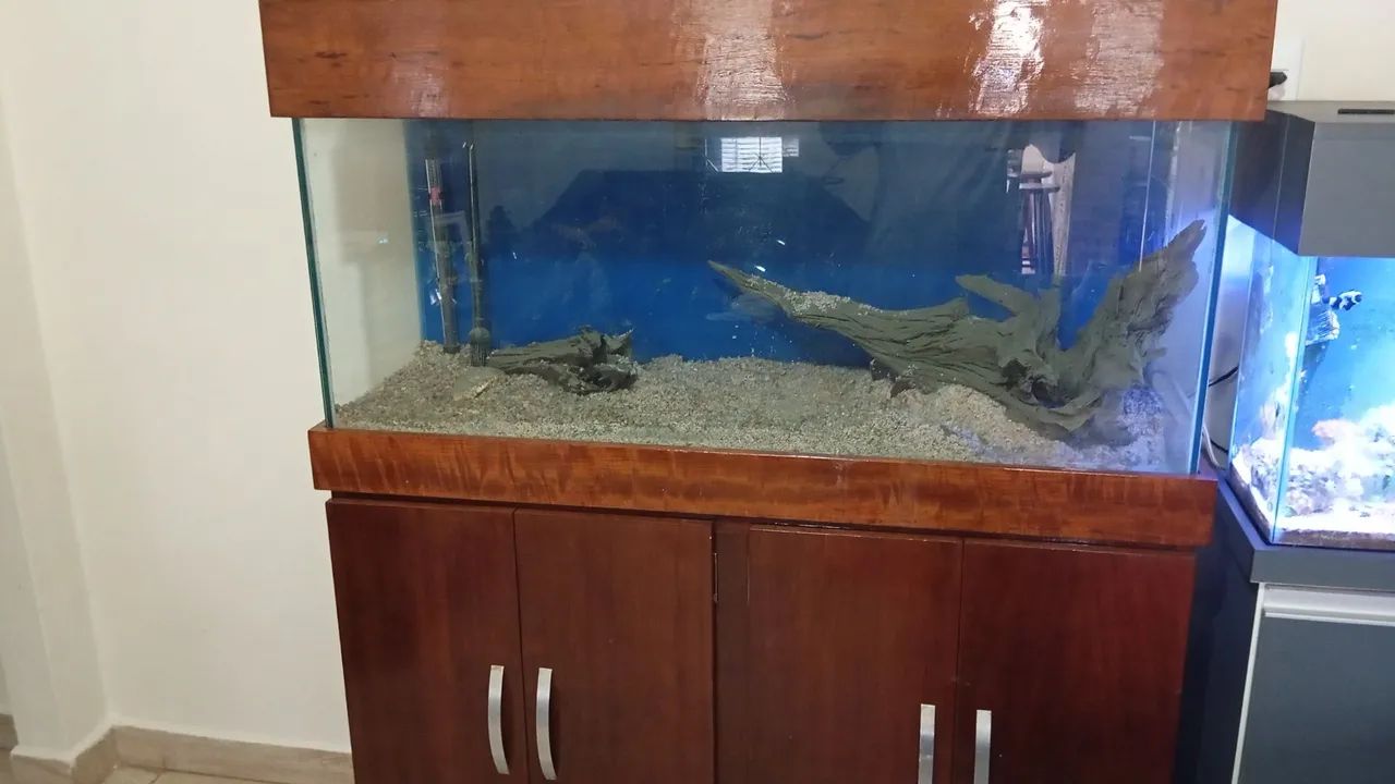 Vendo aquário 240 litros completo 