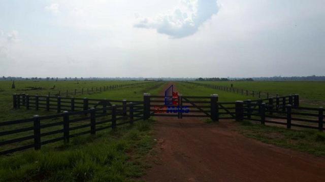 Fazenda muito bem localizada nas proximidade de Cujubim/RO - Foto 3