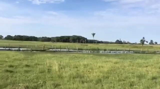Fazenda em Santo Antônio do Leverger 9.880 hectares - Foto 4