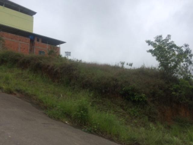 Lote