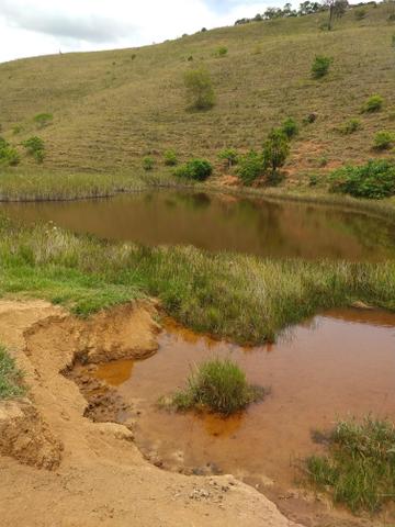 Fazenda região de Itanhaém BA - Foto 11