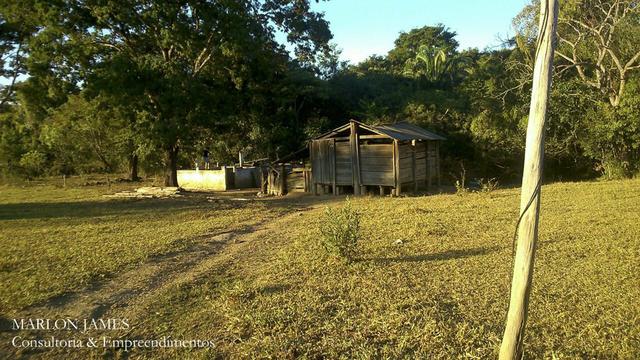 Fazenda Para Gado Ipameri-Go! - Foto 3