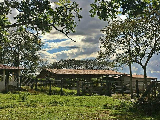 Fazenda Sonho Verde - Foto 4