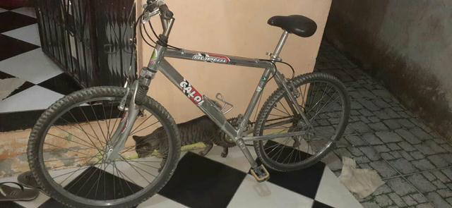 Leve 2 bicicleta a preços de uma - Foto 4