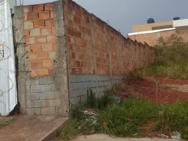Lote arvoredo 2