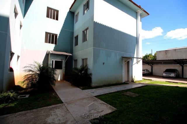 Apartamento com 2 quartos no Sitio Cercado. - Foto 18