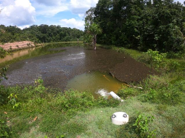 Fazenda Produtiva 1200 x 1100 com 20 tanques peixes em Rio Preto da Eva