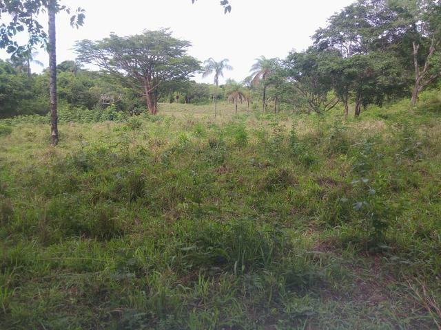 Vende-se uma chácara na região do PADF 18 HECTARES - Foto 5