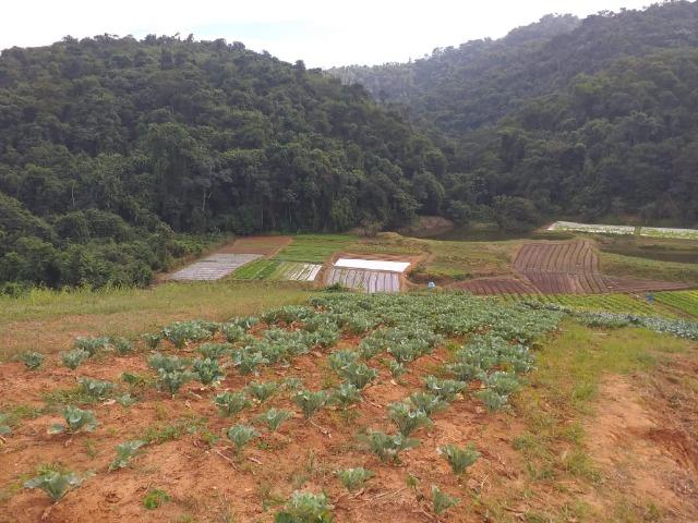 Excelentes terrenos - Foto 8