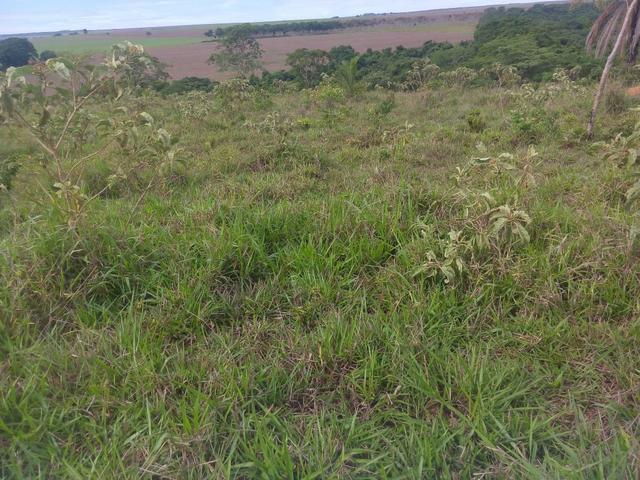 Vende-se uma chácara na região do PADF 18 HECTARES - Foto 2