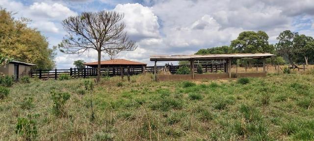 Fazenda - Foto 10