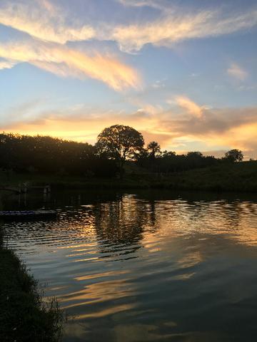 Fazenda gameleira de goias - Foto 14