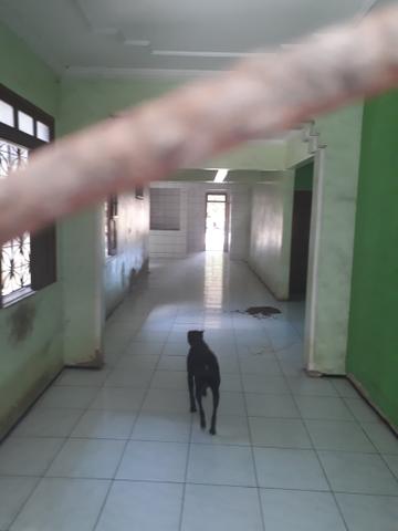 Casa grande - Foto 11