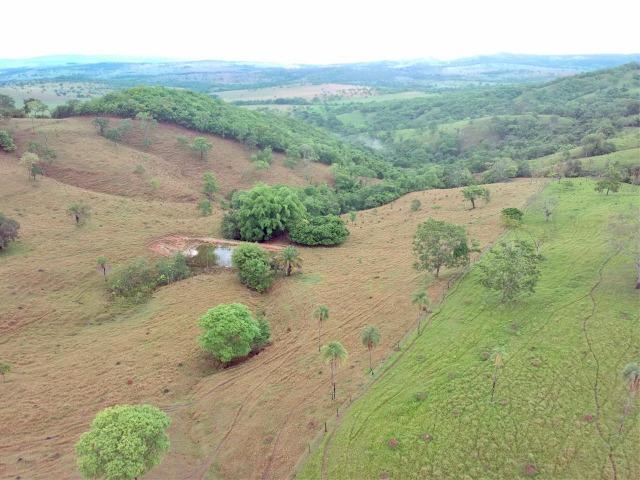 100% cultura. Fazenda 44 Alqueires ( 213 ha ) Cromínia-GO - Foto 7