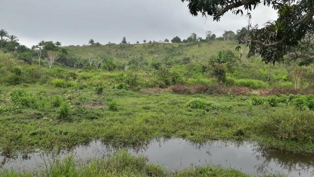 Fazenda com excelente localização - Foto 12
