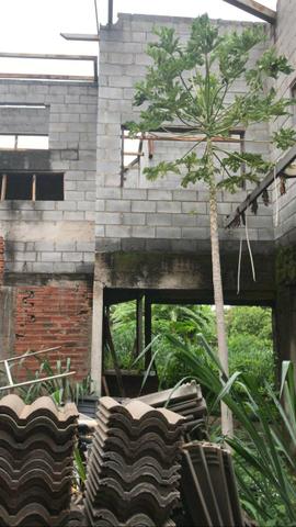 Lote Residencial - Foto 5