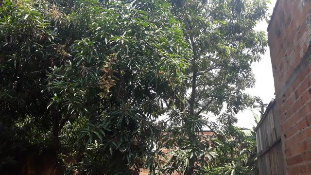 Vende-se esta casa 25.000r$ - Foto 5