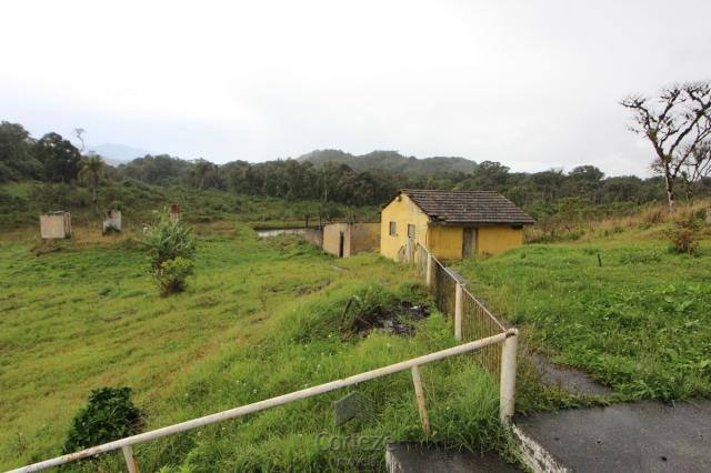 Chácara no Barro Branco em São José dos Pinhais - Foto 2