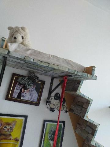 ESCADA PARA GATOS. - Foto 6