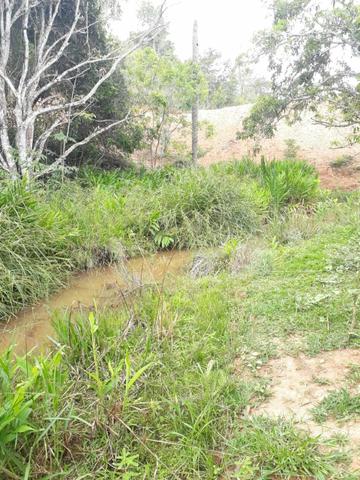 Fazendinha 20.000m2 Maravilhosa | Financia SEM Entrada | Fácil Pagar | AGT - Foto 3