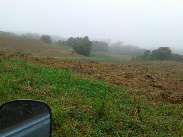 Sítio / chácara para venda em são josé dos pinhais, colônia murici