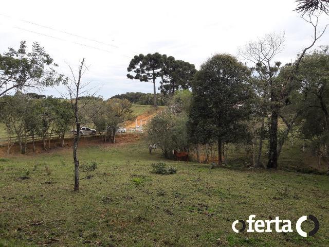 Chácara em Contenda com 30.170 metros quadrados - Foto 9