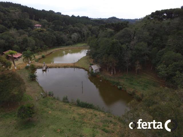 Chácara em Contenda com 30.170 metros quadrados - Foto 4