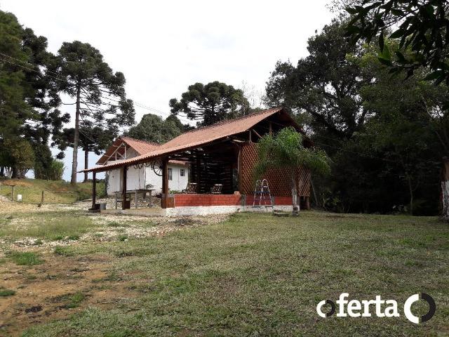 Chácara em Contenda com 30.170 metros quadrados - Foto 17