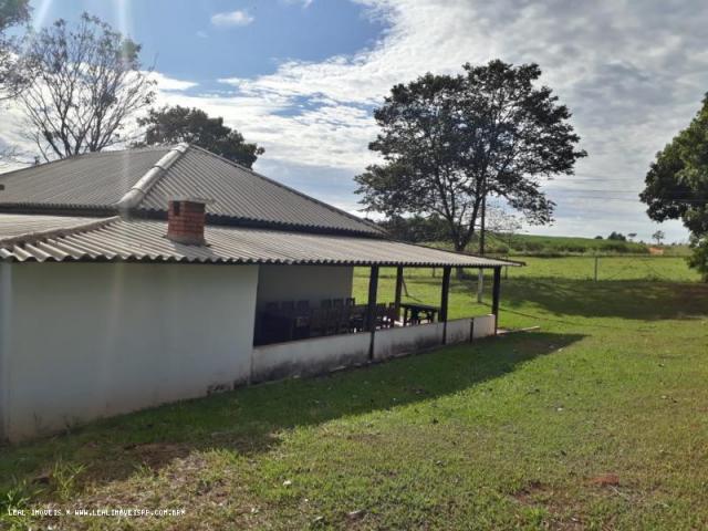 Fazenda para venda em estrela do norte, zona rural, 3 dormitórios, 1 suíte, 1 banheiro - Foto 14
