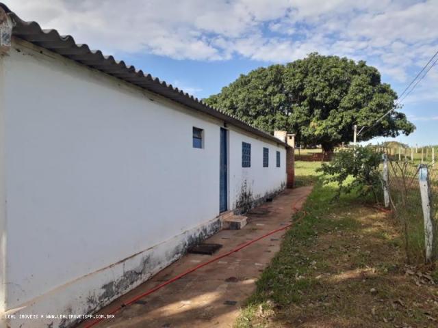Fazenda para venda em estrela do norte, zona rural, 3 dormitórios, 1 suíte, 1 banheiro - Foto 4