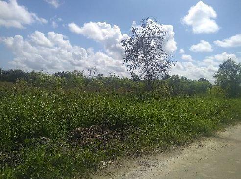 Loteamento Cidade de Lima - Marechal deodoro