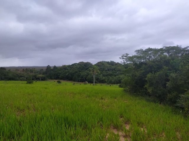 Velleda oferece lindo sítio de 1 hectare, local seguro, ac 100% em carros - Foto 2