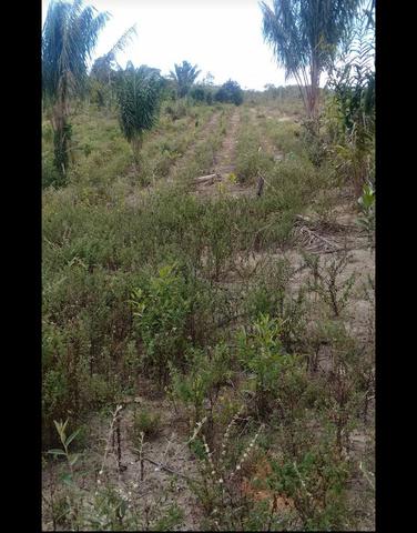 V/t terreno na Bahia - Foto 5