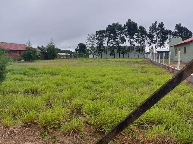 Velleda oferece sítio 1400 m² escriturado condomínio fechado próx comércios - Foto 4