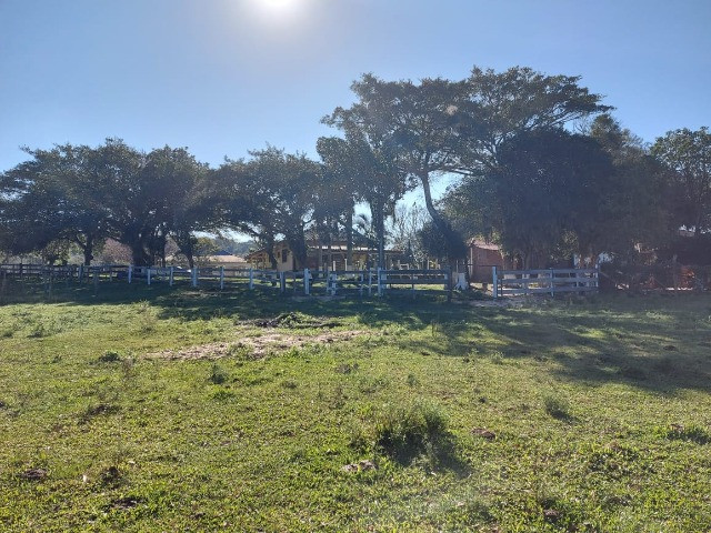 Velleda oferece espetacular sítio 2 hectares para lazer e moradia, ac troca - Foto 13