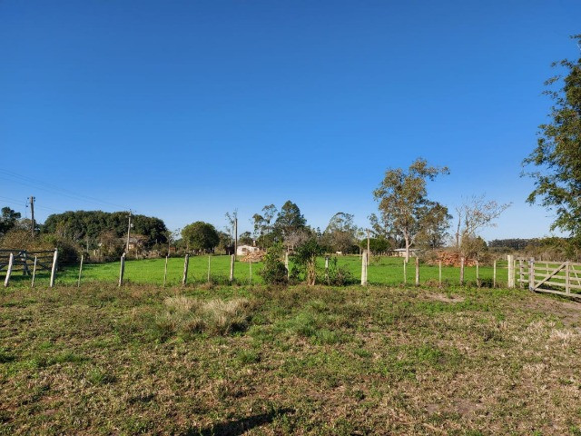 Velleda oferece 4 hectares c/ campo ideal para cavalos ou ovelhas, luz CEEE - Foto 13