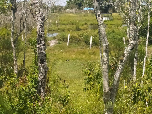 Velleda oferece sitio 3 hectares com casa e 2 açudes - Foto 12