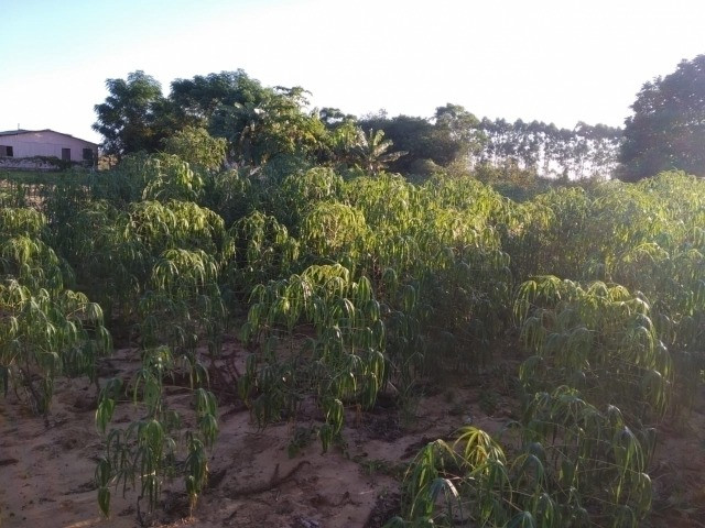 Velleda oferece terreno com casa simples, a 1 km da RS040, de barbada - Foto 6